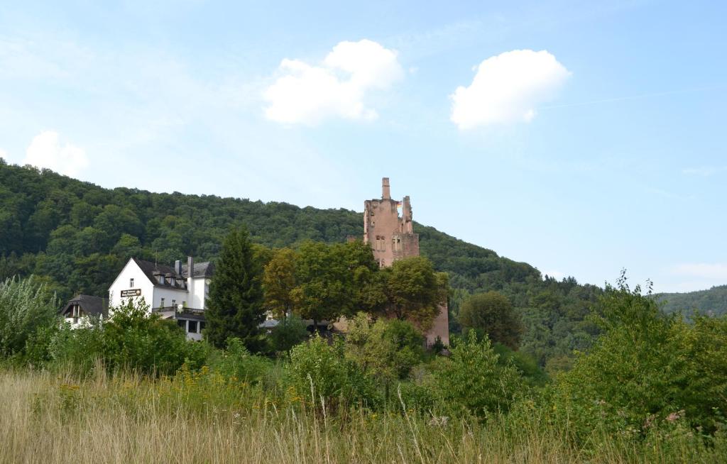 ein altes Schloss auf einem Hügel in der Unterkunft Hotel-Restaurant Burg-Ramstein in Kordel