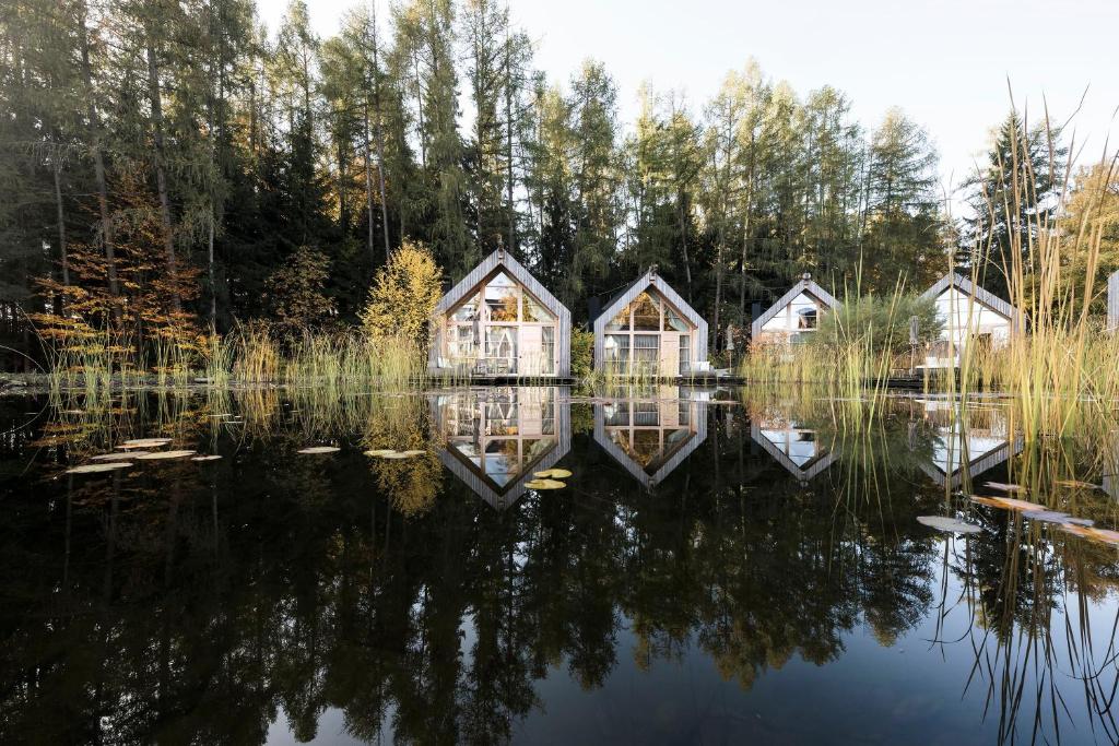 a row of houses on a lake with trees at ADLER Ritten in Soprabolzano