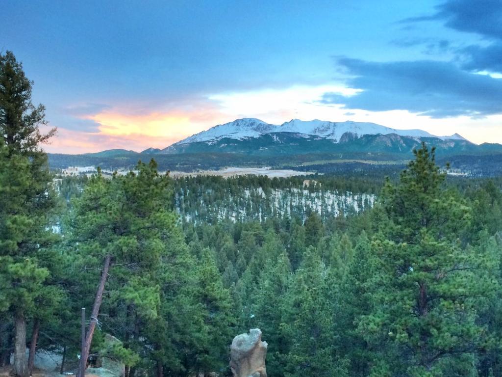 a view of a forest with mountains in the background at Pikes Peak Paradise Bed and Breakfast in Woodland Park