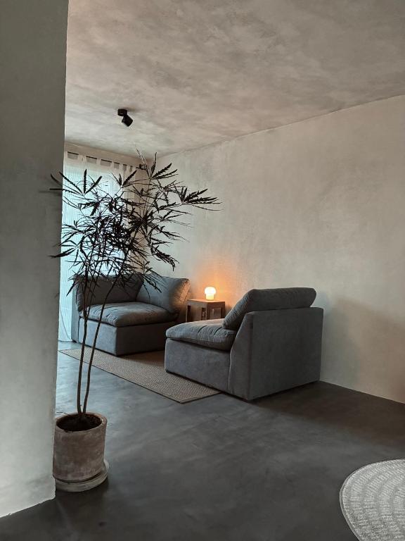 a living room with two couches and a plant at Casa Mayab in León