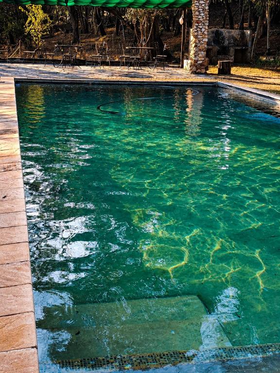a swimming pool with green water in a yard at Honey Farm Country Get Away in Skeerpoort