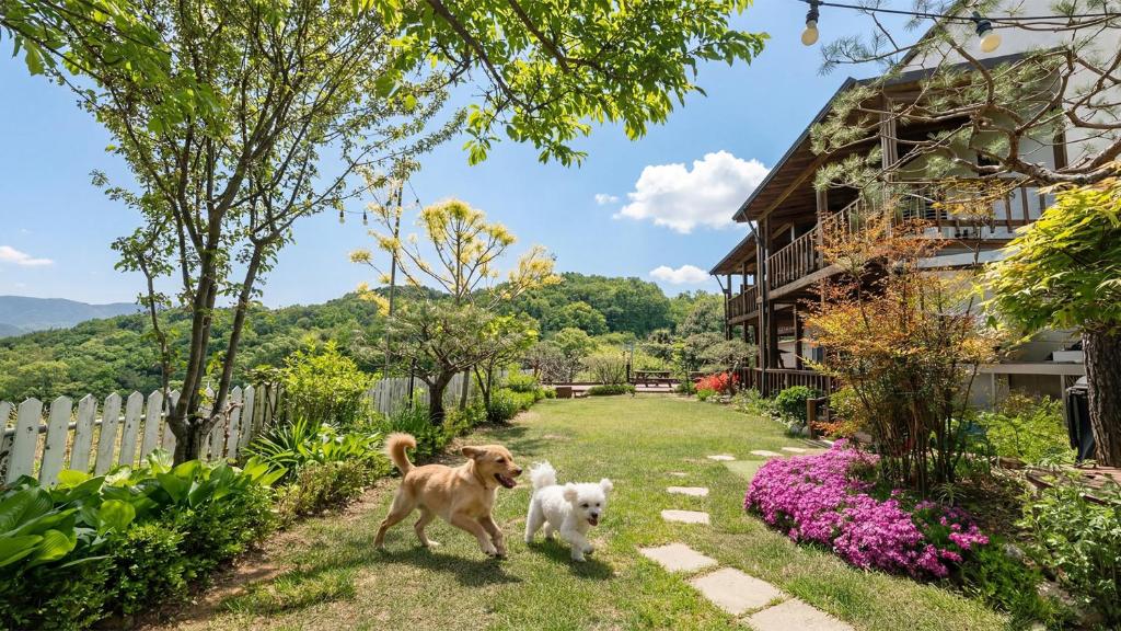 two dogs walking in the yard of a house at Gapyeong Art Pension in Gapyeong