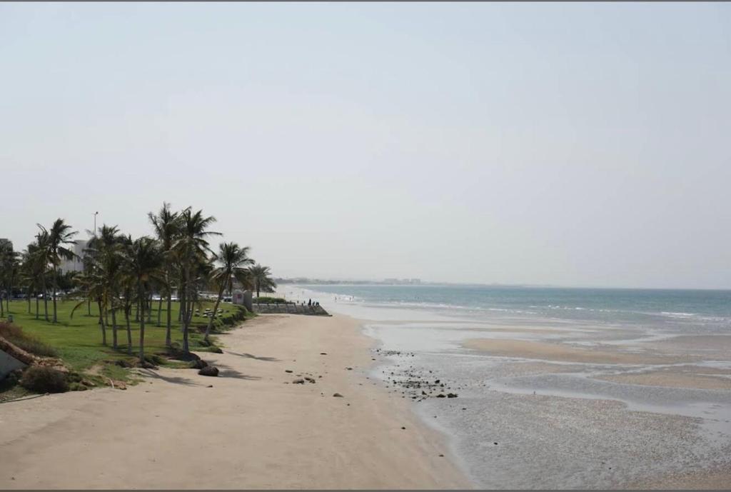 an empty beach with palm trees and the ocean at Waterfront vip master room in Muscat