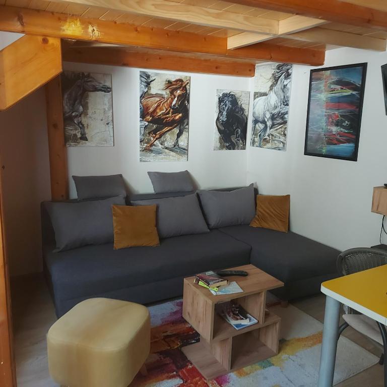 a living room with a couch and paintings on the wall at ArtCenterApartment in Novi Sad