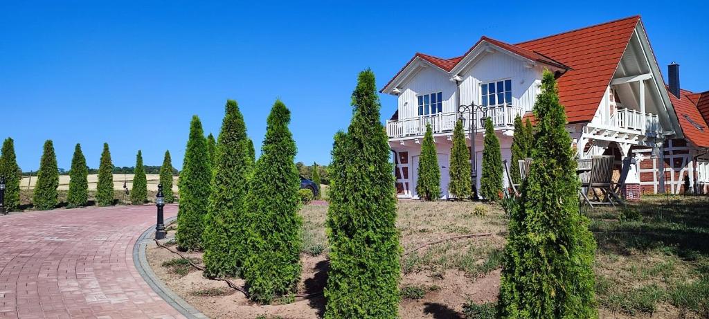 a house with a row of trees in front of it at Villa Residenz am Vulkanradweg in Grebenhain