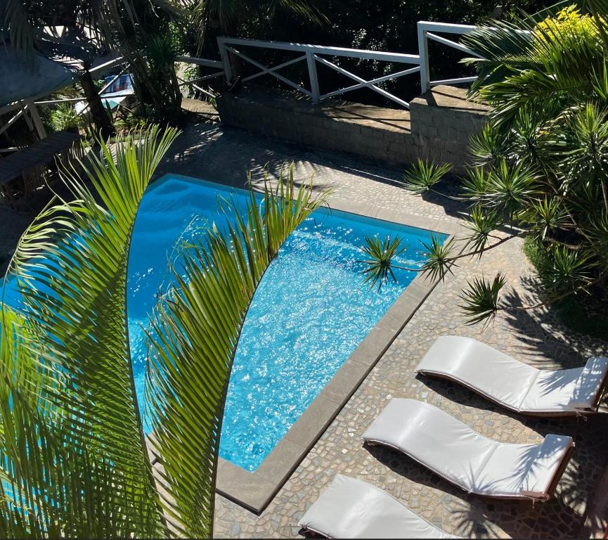 a swimming pool with two chairs and a palm tree at La Colombine Appart'Hôtel in Sainte Marie