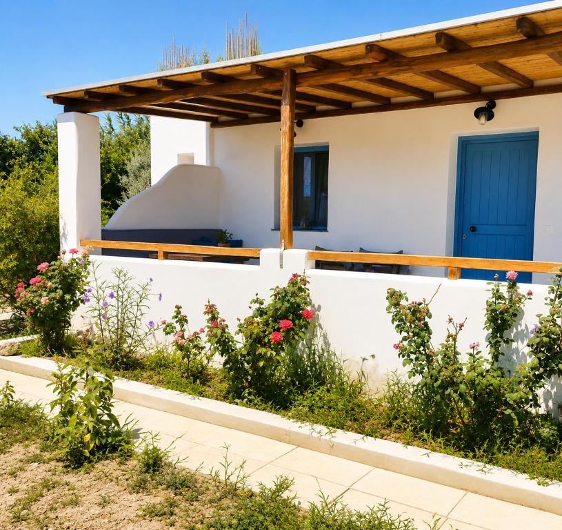Jardí fora de Méliris house