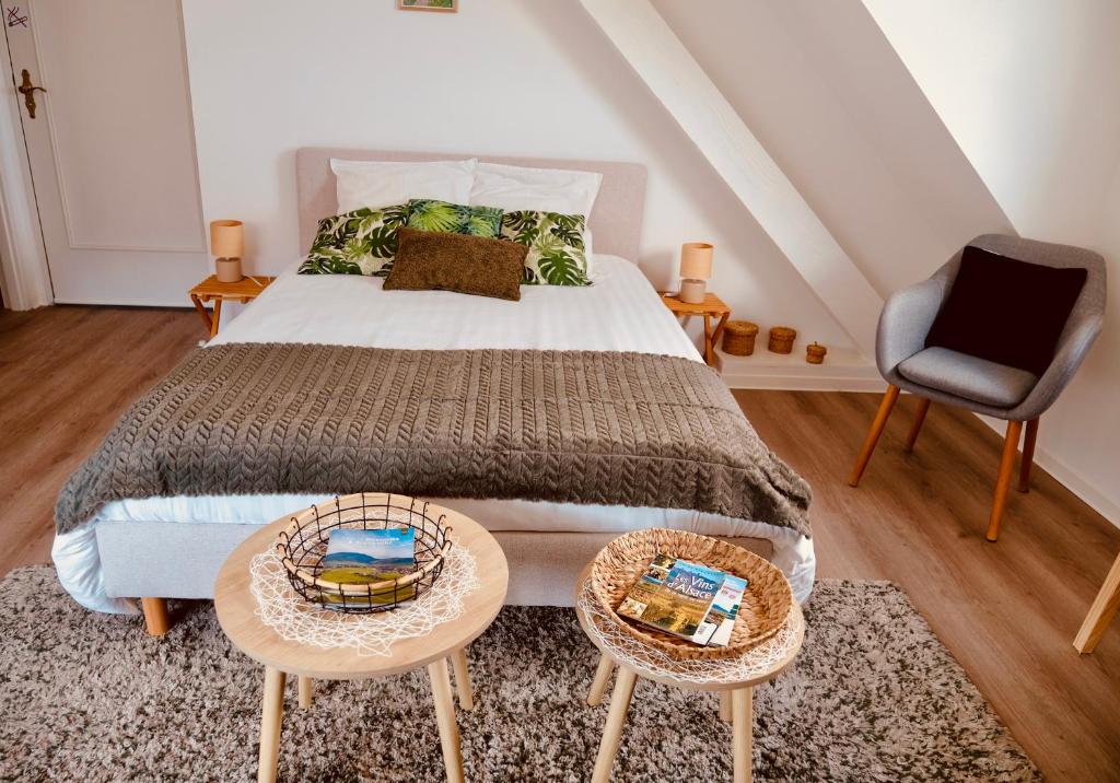 Gite Les deux belettes - Appartements meublés à Riquewihr - Vue vignoble – photo 3