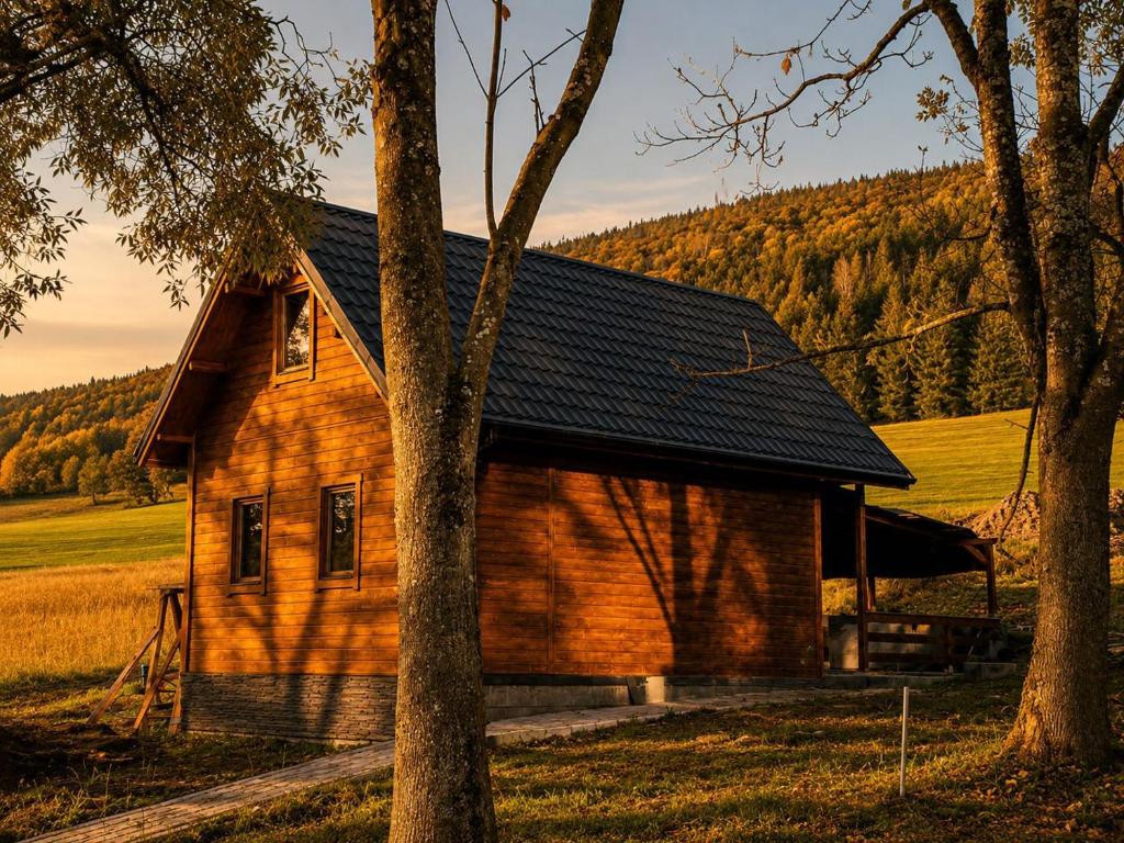 a wooden cabin in a field with trees at Chata Nikki in Vrbno pod Pradědem