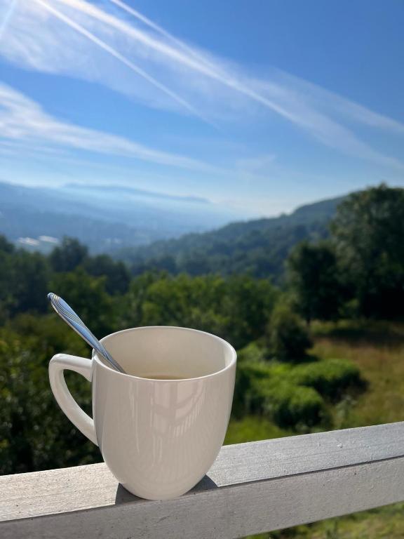 a cup of coffee sitting on a ledge with a view at Relax home in Travnik