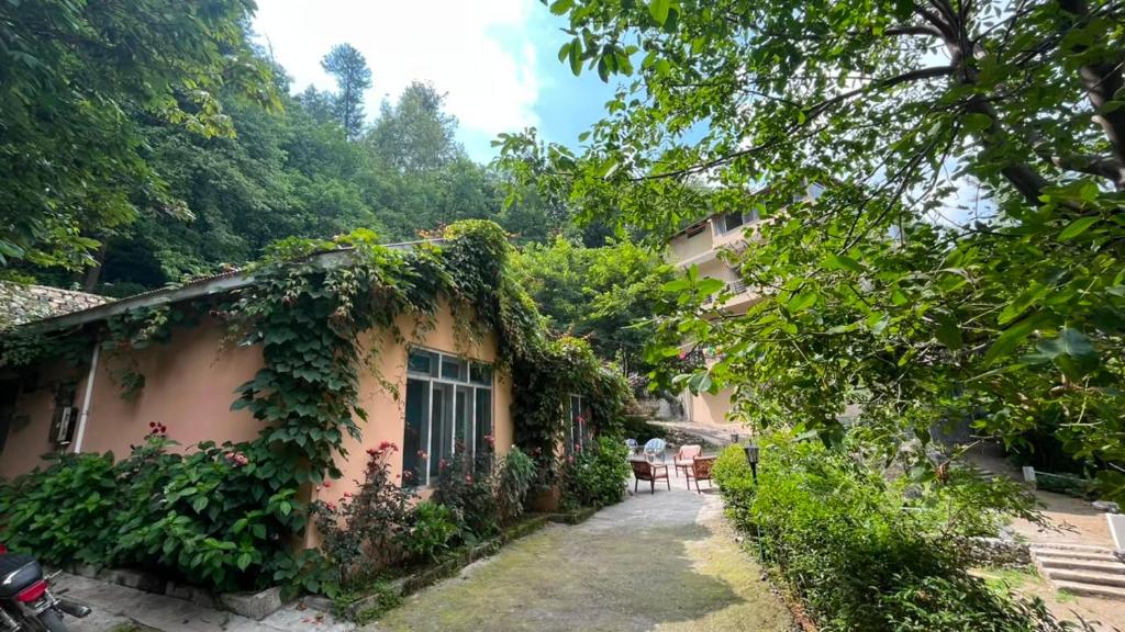 a house with ivy growing on the side of it at Escape cottage Nathia Gali 