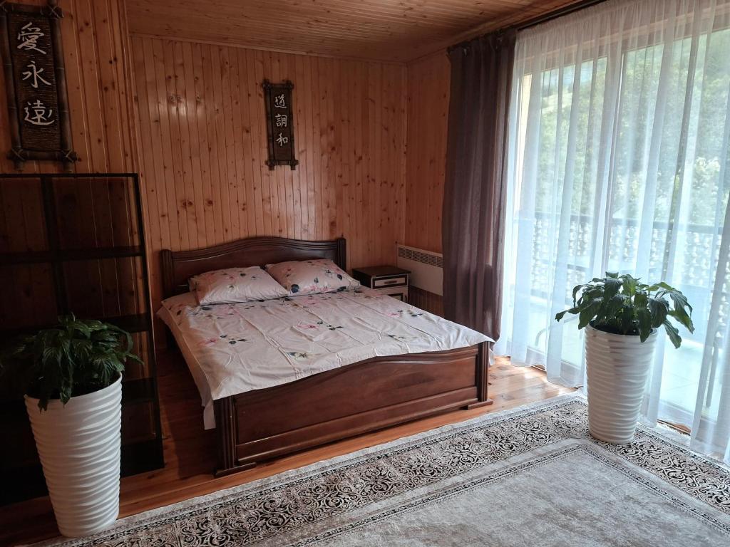 a bedroom with a bed and two potted plants at Oleksandria in Volovets