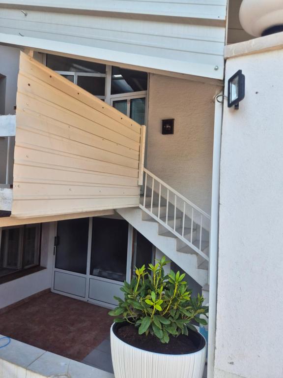 an external view of a building with a staircase and plants at Lila apartments in Bijakovići