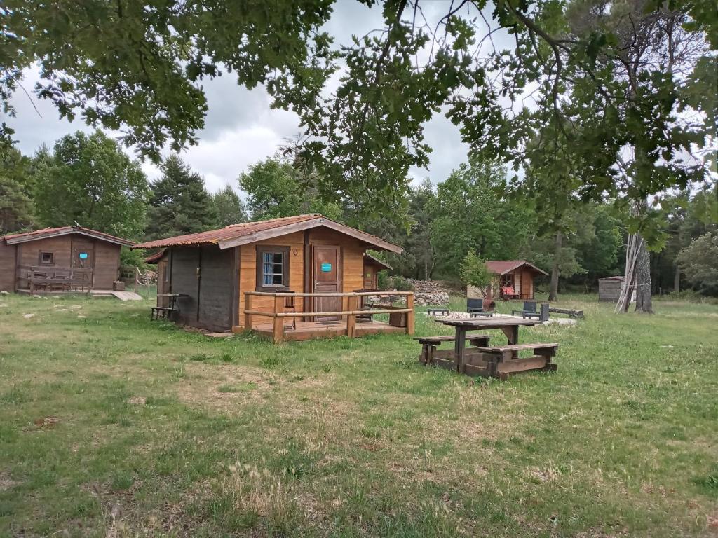 a cabin in a field with a picnic table at Du puits de Riquier écologique in Régusse
