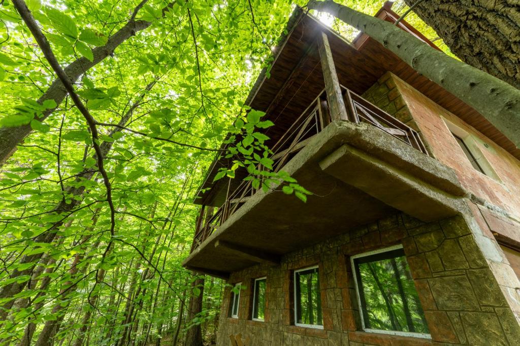 a tree house in the middle of the forest at Maestro Rest House Dilijan in Dilijan
