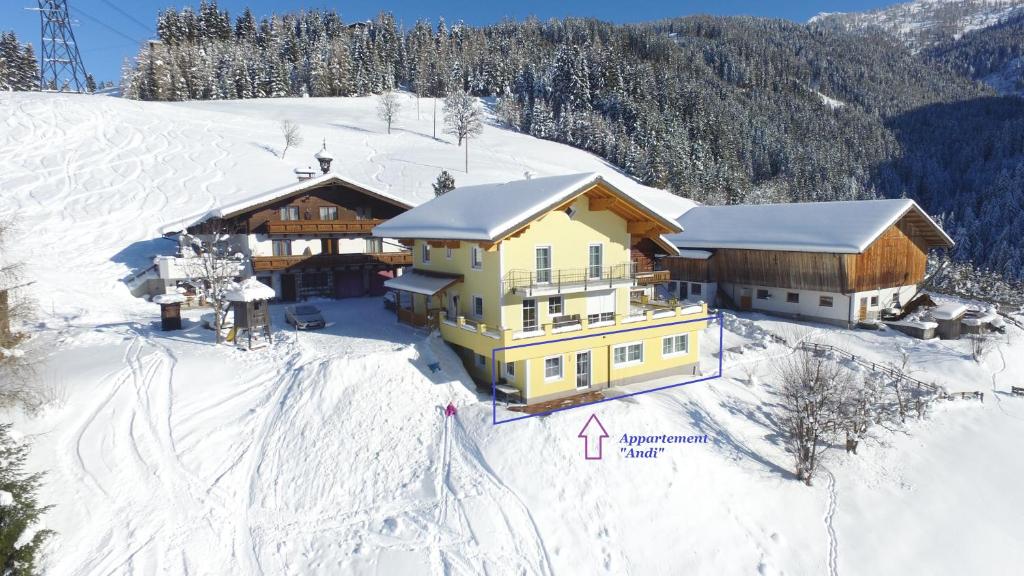 Appartement Andi during the winter
