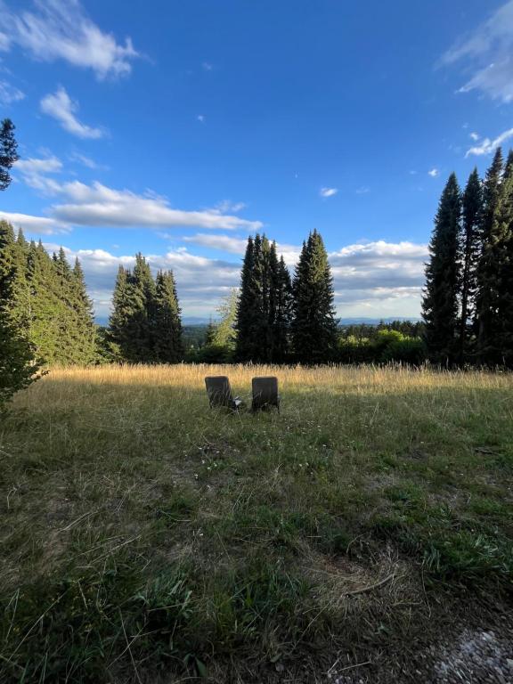 two chairs in a field with trees in the background at Waldgarten Marienau in Höchenschwand