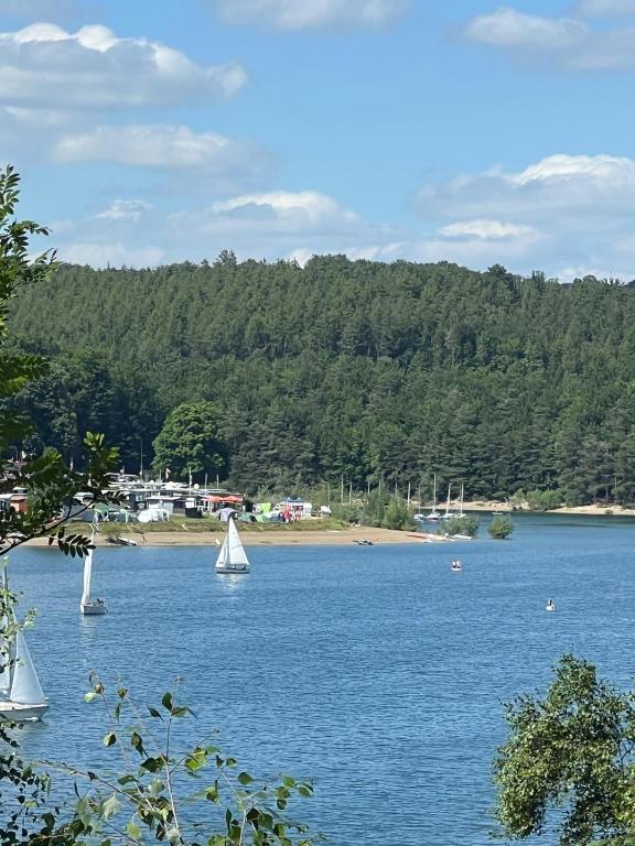three sailboats on a lake with trees in the background at HabichtsNest Stockum in Sundern