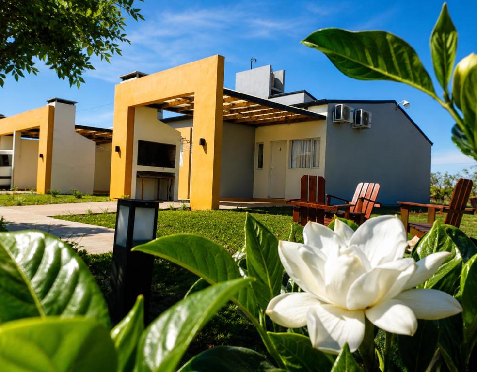 eine weiße Blume vor einem Haus in der Unterkunft SUEÑOS DE TERMAS in Chajarí