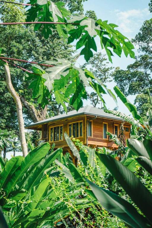 a wooden house in the middle of a forest at Carenero Hills - Beach and Surf Bungalows in Bocas Town