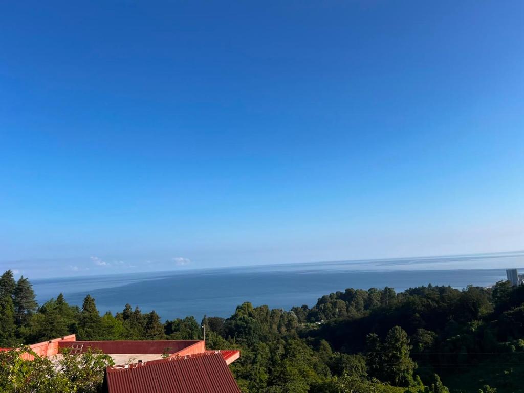 a view of the ocean from a house at Botanic sea view in Batumi