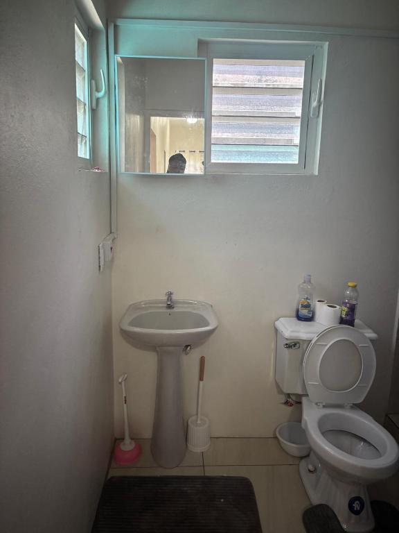 a bathroom with a toilet and a sink and a window at Caroline suite in Cliftons