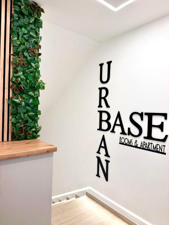 a white wall with a green plant on it at Urban Base CELJE in Celje