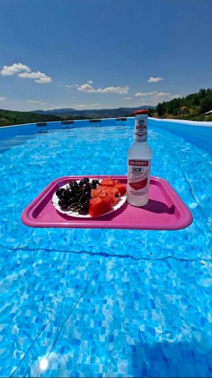 a drink and a plate of food on a tray in the water at Nature House in Pljevlja