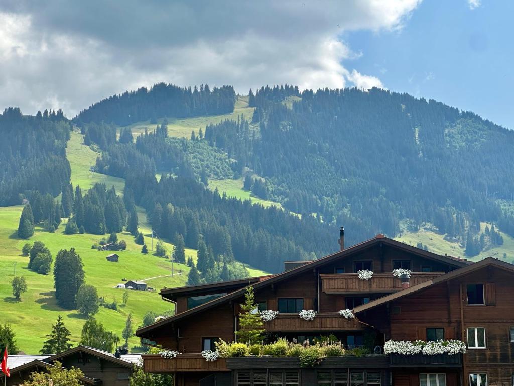 Gstaad 2 Bed Alpine Retreat Sleeps 6, 2 Min Walk to Eggli, Views and Parking