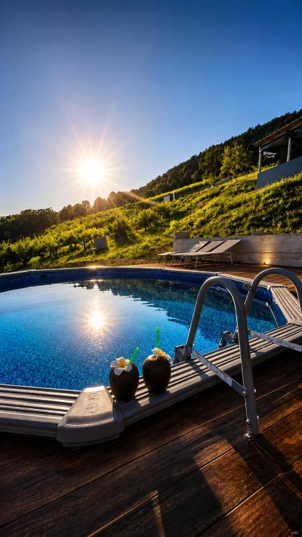 a swimming pool with two plants sitting on a deck at Leona in Kamešnica
