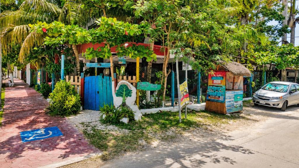 a building with a blue door on the side of a street at El Árbol de la Vida in Bacalar