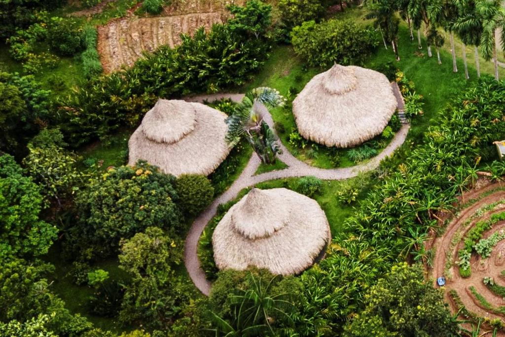 an overhead view of a garden with large mushroom roofs at 3 Cozy TripleDouble Rooms - Trisquel in Restrepo