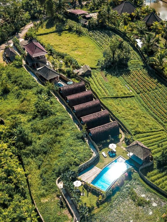an aerial view of a resort with a swimming pool at Villa Lumbung Sidemen in Sidemen