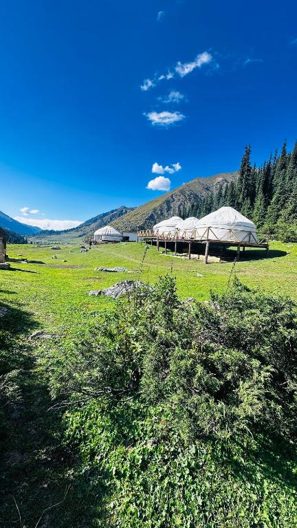 two tents in a field with mountains in the background at OrdoLife in Mineralʼnyy Istochnik Altyn-Arasan