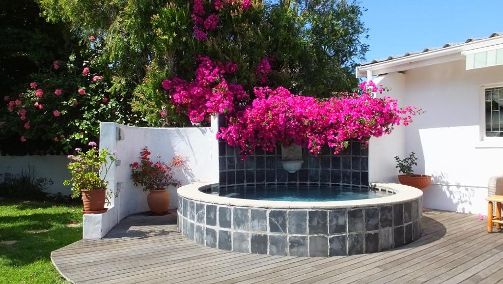 Paulyn Place - отзывы и видео