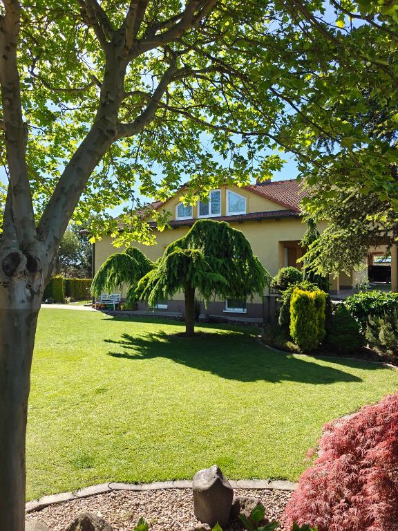 a house with a tree in the yard at MaMa Apartment in Seredʼ