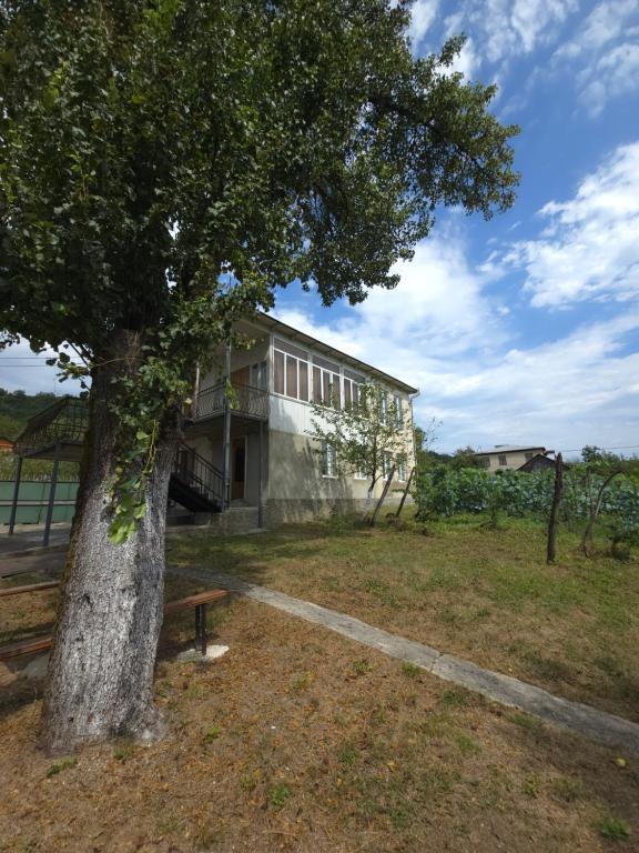 a building with a tree and a bench next to it at Guesthouse Hikari Racha in Bostana