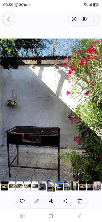 a bench sitting on a sidewalk next to some flowers at S de uribe 2 in Uribelarrea