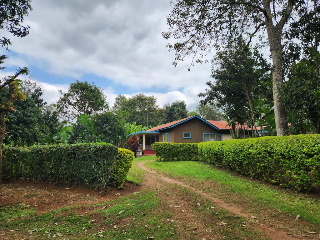 a house with hedges next to a dirt road at Stellas Villa in Marangu