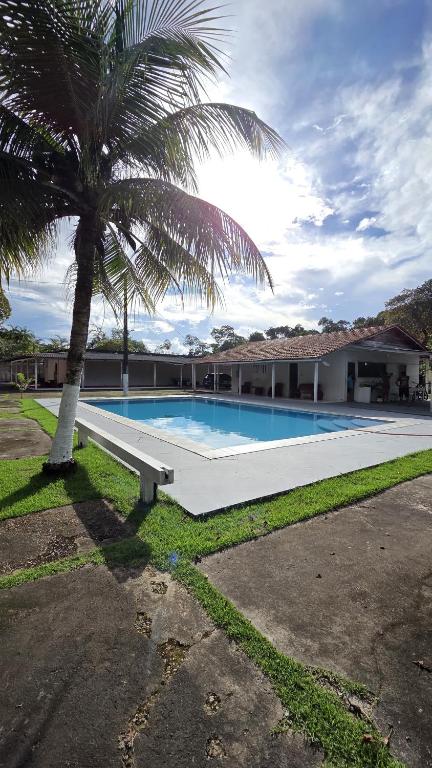 a swimming pool with a palm tree next to a building at Chácara Dois Oliveiras in Macapá