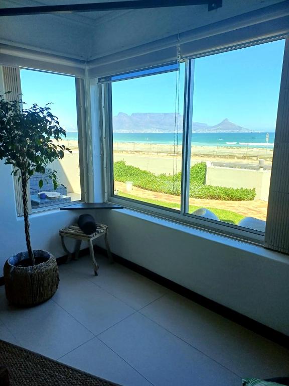 a room with a window with a potted tree in front of it at Sea Spray Table View Beachfront Bliss in Cape Town