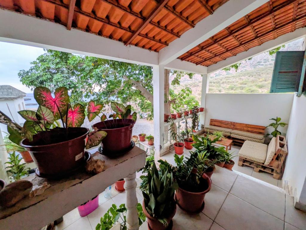 a porch with potted plants and a bench at ponta gato residence in Tarrafal