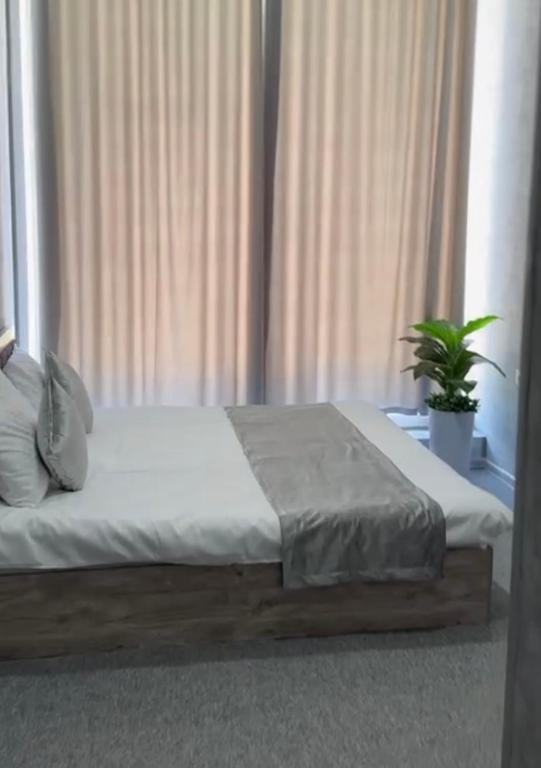 a bed in a bedroom with a plant in it at Shodlik Hotel 