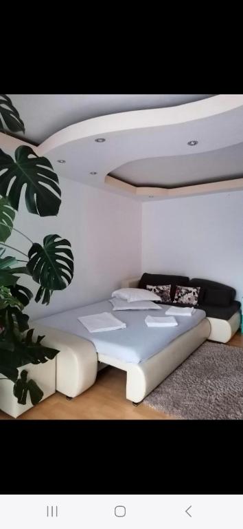 Central 3-room apartment - Housity