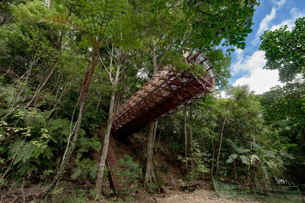 Treeful Treehouse Sustainable Resort Okinawa - Camera Quadrupla Con Terrazza