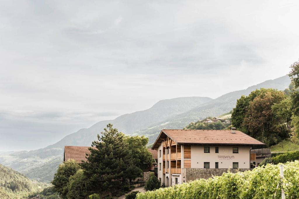 a house on a hill with mountains in the background at TANOVINUM Apartments in Villandro
