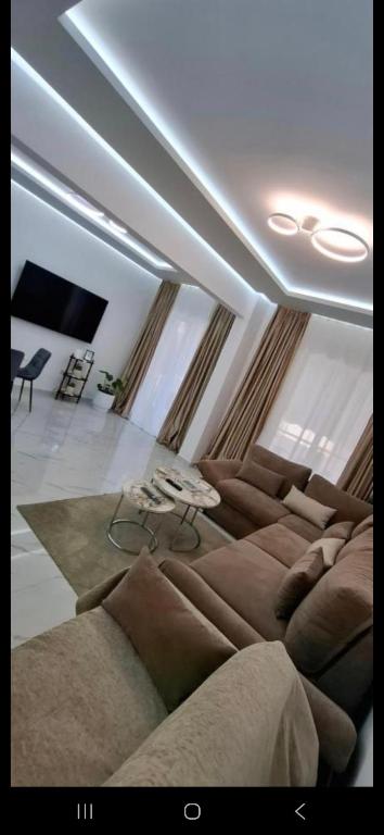 Niko Diana SUITE 3D
