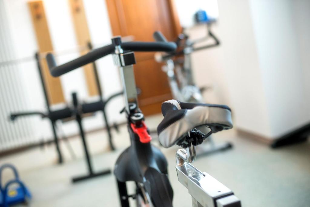 Fitness centrum a/nebo fitness zařízení v ubytování Hotel Canada