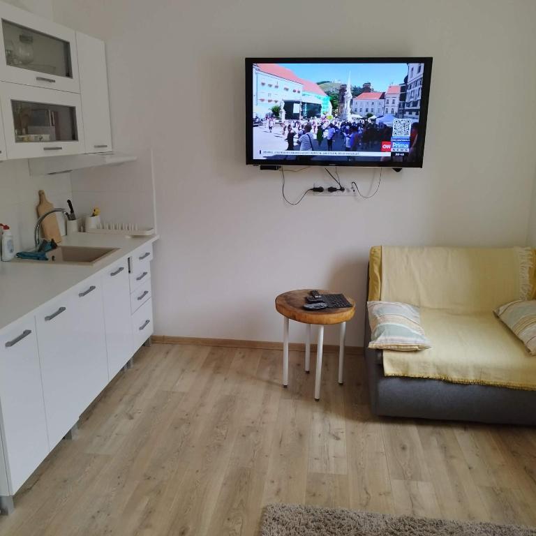 a living room with a couch and a tv on a wall at Aichinger in Hanušovice