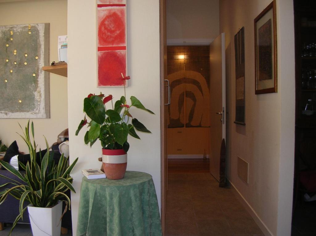 Fotografie z fotogalerie ubytování b&b undici v destinaci Cervia